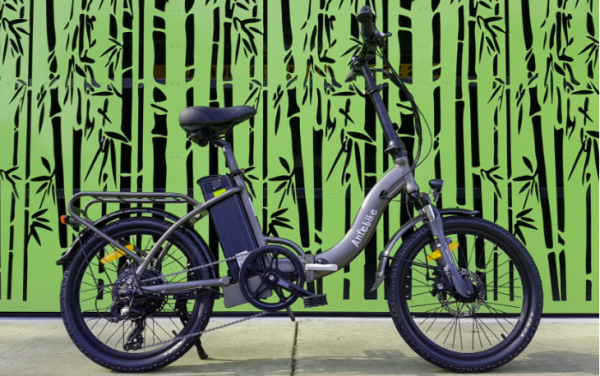 rent electric bike monthly