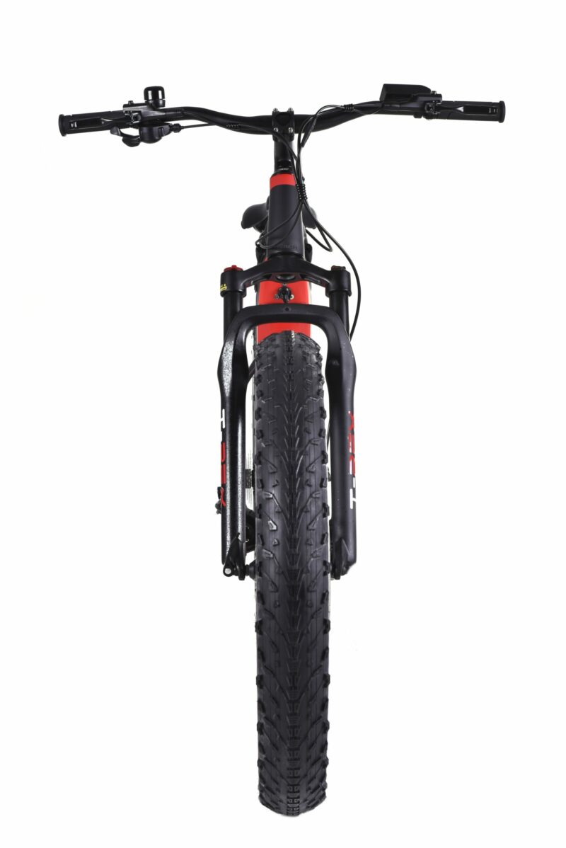 T-REX-RINO-FAT-EBIKE-D-scaled